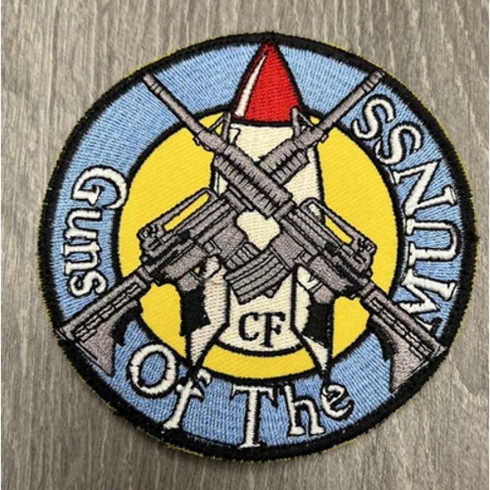 Air Force MUNSS Combat Forces Patch Crossed Rifles Missile Hook & Loop